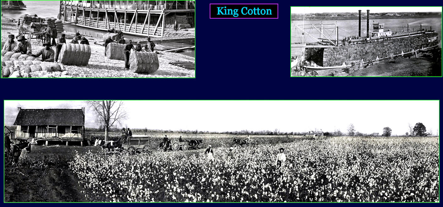 King Cotton, 1850